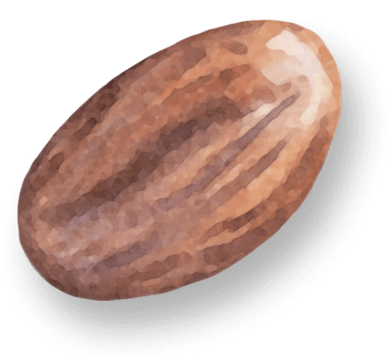 Seed